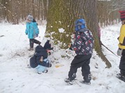 Výprava do zimního lesa